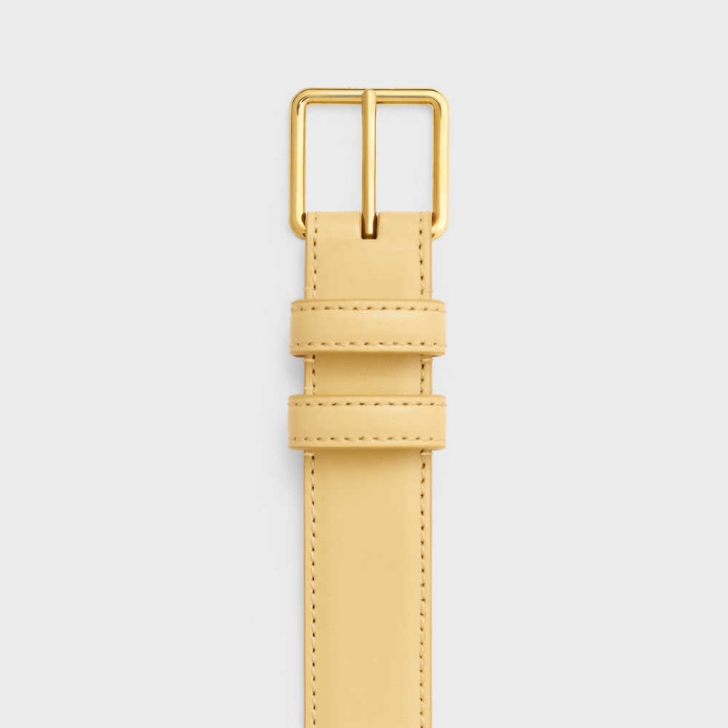 Celine Bag Triomphe In Shiny Calfskin Kemer a00809.jpg | CL-592475