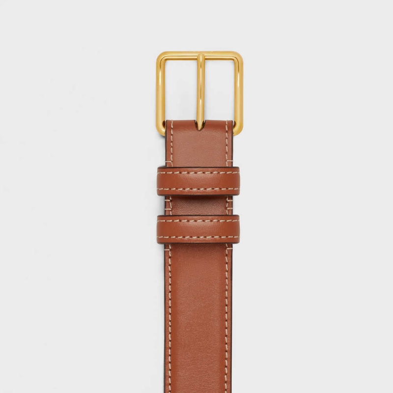 Celine Bag Triomphe In Triomphe Kanvas And Calfskin Kemer Kahverengi | CL-592476
