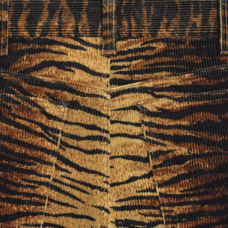 Celine Dylan Flared Jeans In Tiger-print Corduroy Pantolon Açık Mavi | CL-592045