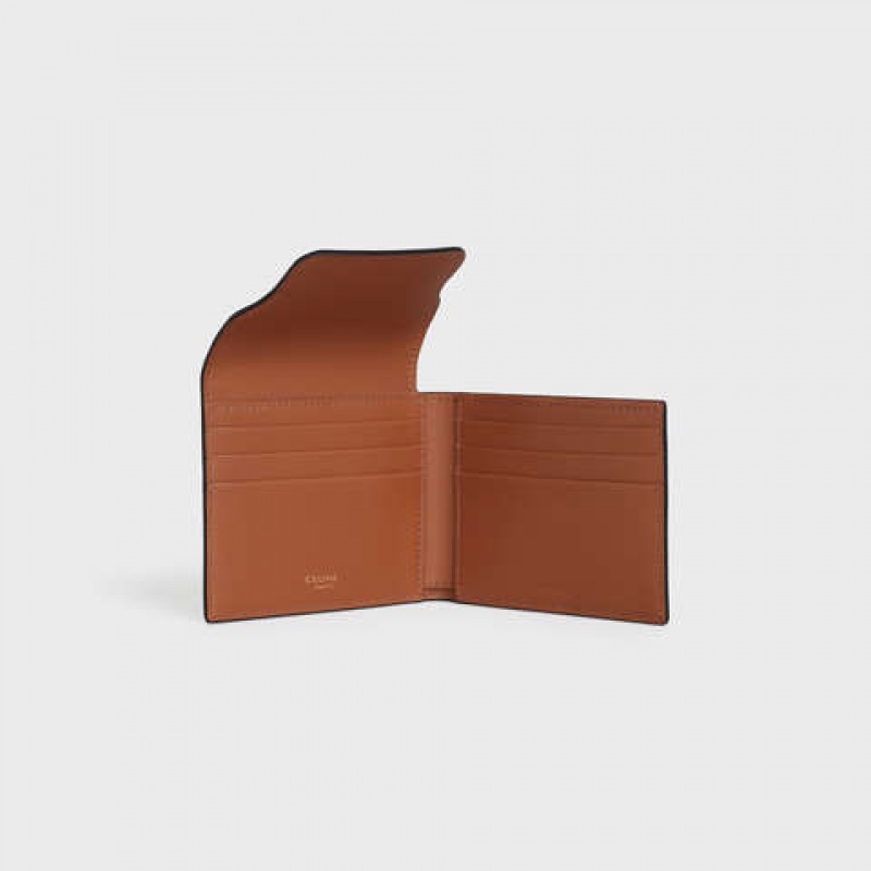 Celine Flap Origami In Triomphe Kanvas And Cüzdan Kahverengi | CL-591797