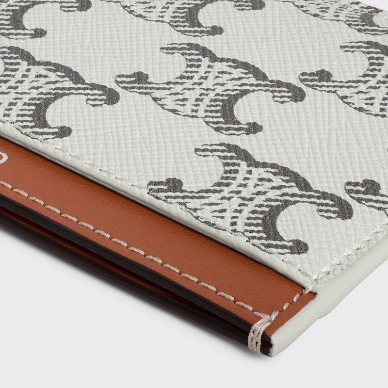 Celine In Triomphe Kanvas And Calfskin Kartlık Kahverengi | CL-591803
