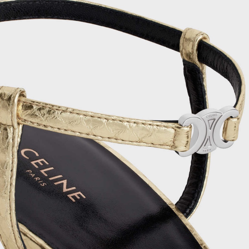 Celine Kitten With Askılı Triomphe In Laminated Ayers Stiletto Gümüş | CL-592564