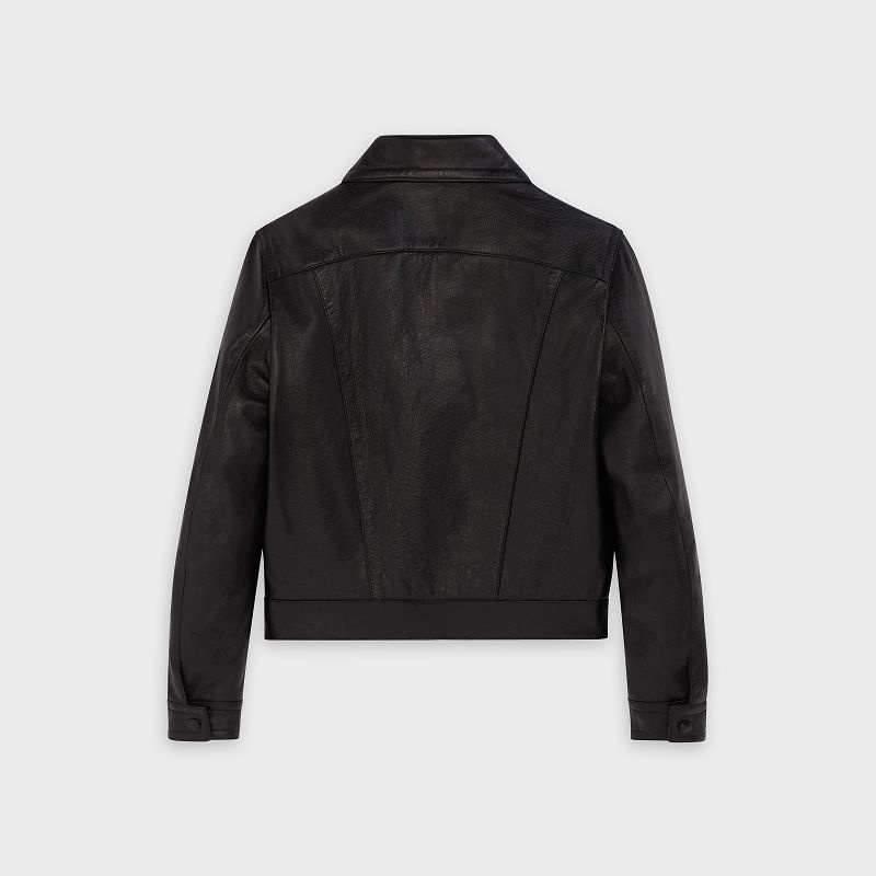 Celine Paul Blouson In Leather Siyah | CL-591920