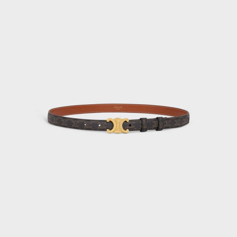 Celine Small Triomphe In Triomphe Kanvas Kemer Kahverengi | CL-592470