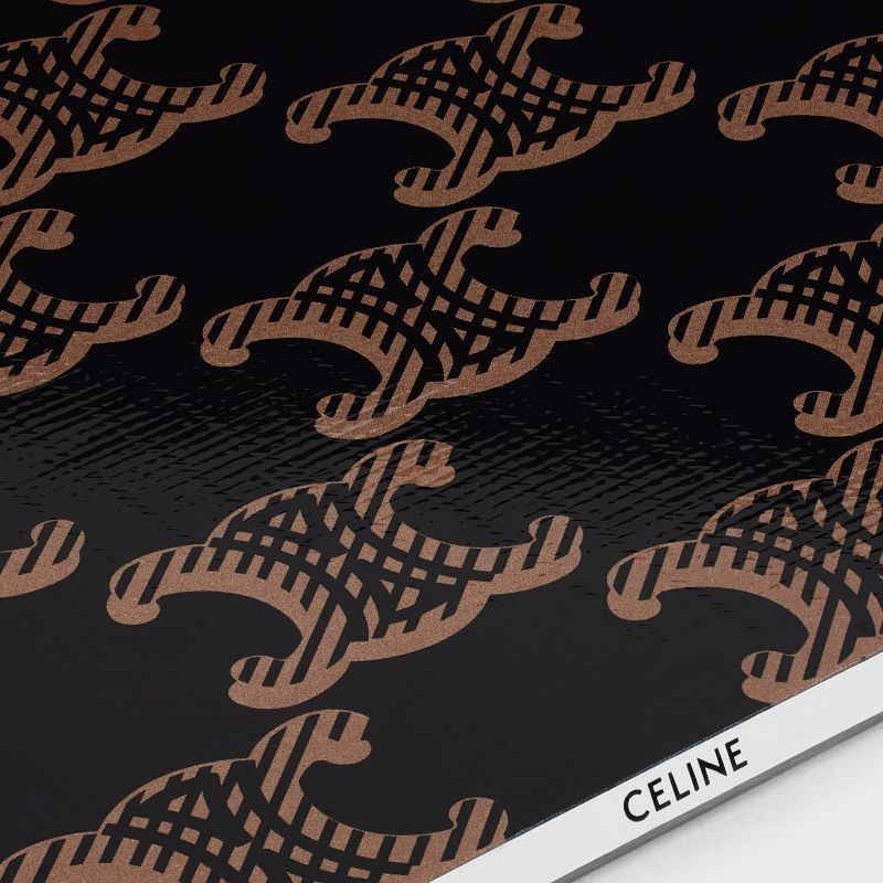 Celine Snowboard Triomphe Kanvas Print Lifestyle Siyah | CL-591682