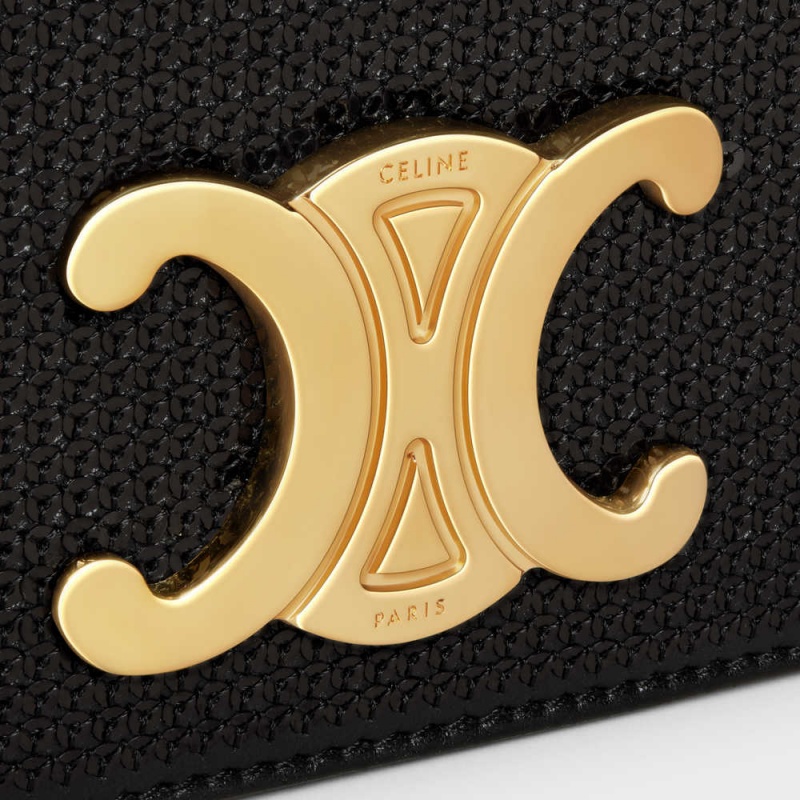 Celine Trapeze Bag In Sequins And Calfskin Triomphe Siyah | CL-593247