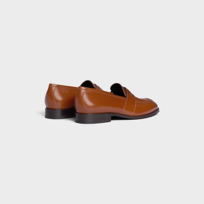 Celine Triomphe Malaquais In Polished Bullskin Makosen Kahverengi | CL-592531